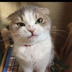 Meet your Posher, Lori